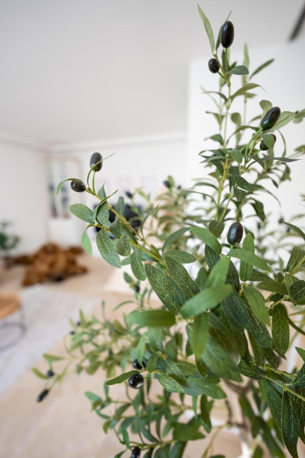 -Stadthaus Ida- Mit Grosser Dachterasse, Am Schlosspark, Luftkurort Kisslegg, Boxspringbetten, Kaffeevollautomat, Smarttv, Familienfreundlich, Grosszuegig, Zentral Exteriör bild